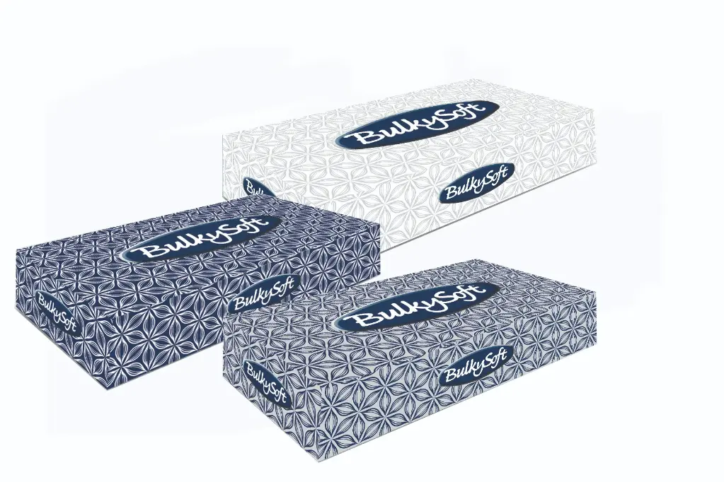 Facial tissues BulkySoft Classic 21x21 cm 40 dozen