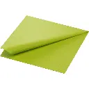 Servetten Tissue 40x40 cm 2-Laags 1250 st Kiwi