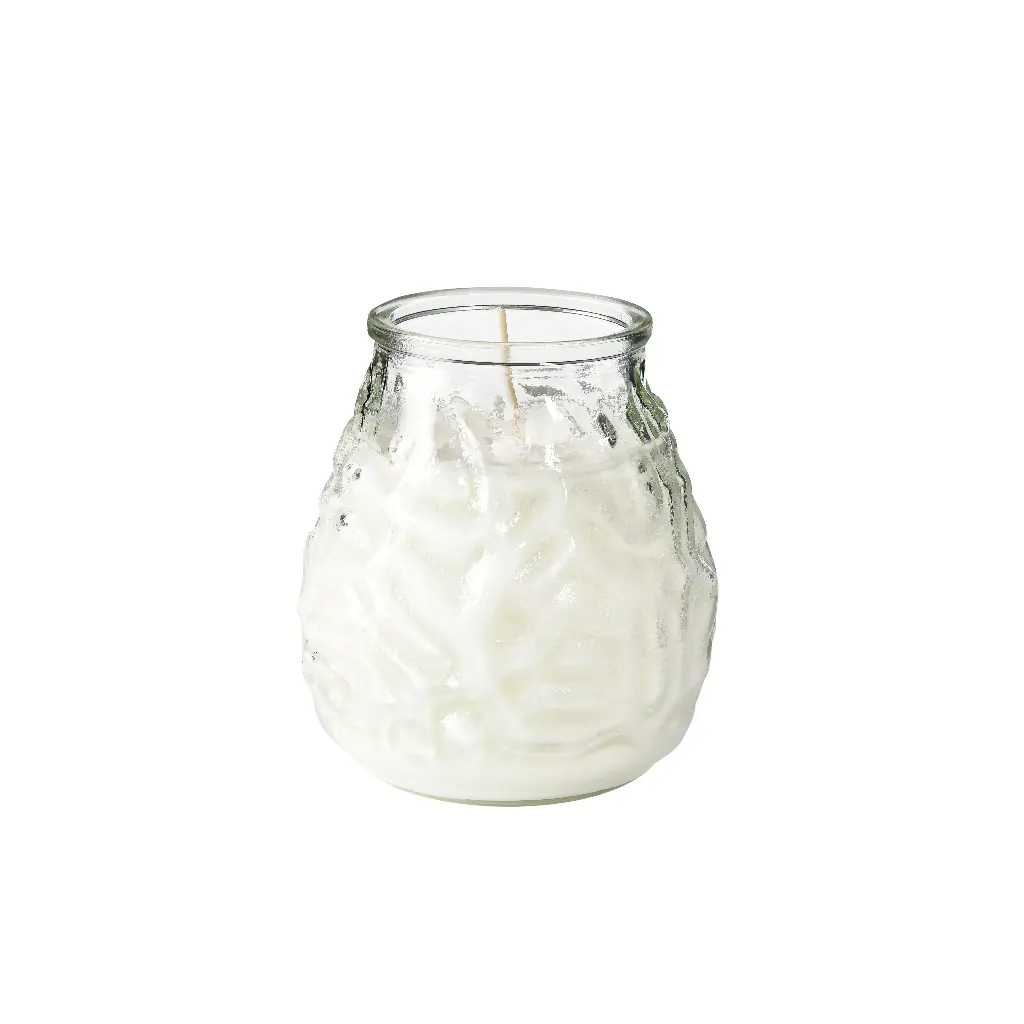 Venezianische Kerzen Transparent Bolsius Low Boy 12 Stück