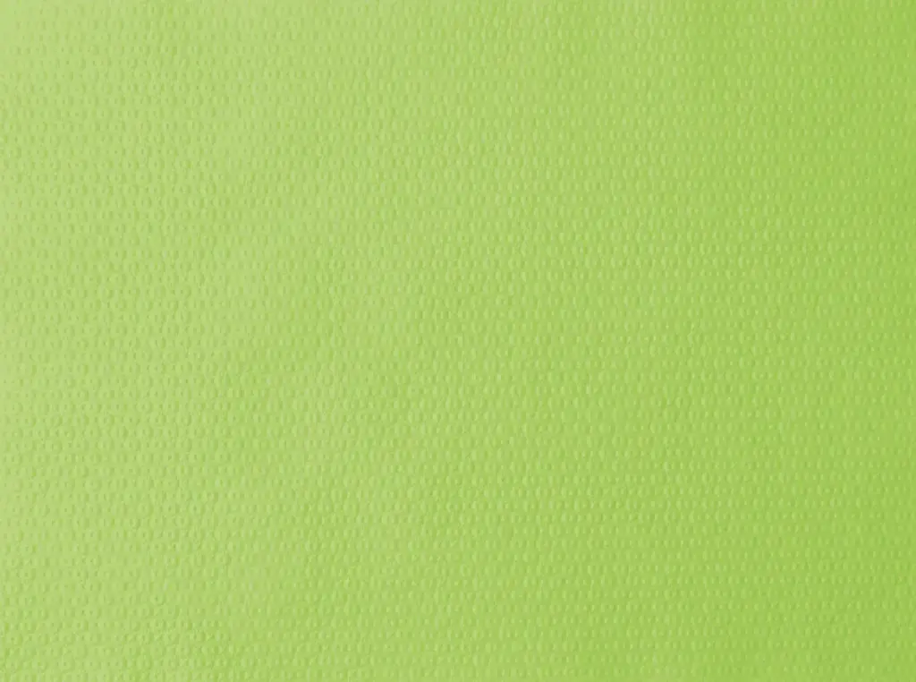 Papieren placemat Kiwi 30 x 40 cm 1000ST