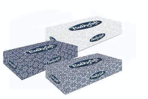 BulkySoft Classic Kosmetiktücher 21x21 cm 40 Boxen