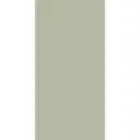 Airlaid Bio Dunisoft® Napkins 40x40 cm 1/8 Fold 360PCS Pistachio Green