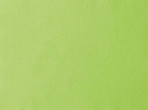 Papieren placemat Kiwi 30 x 40 cm 1000ST